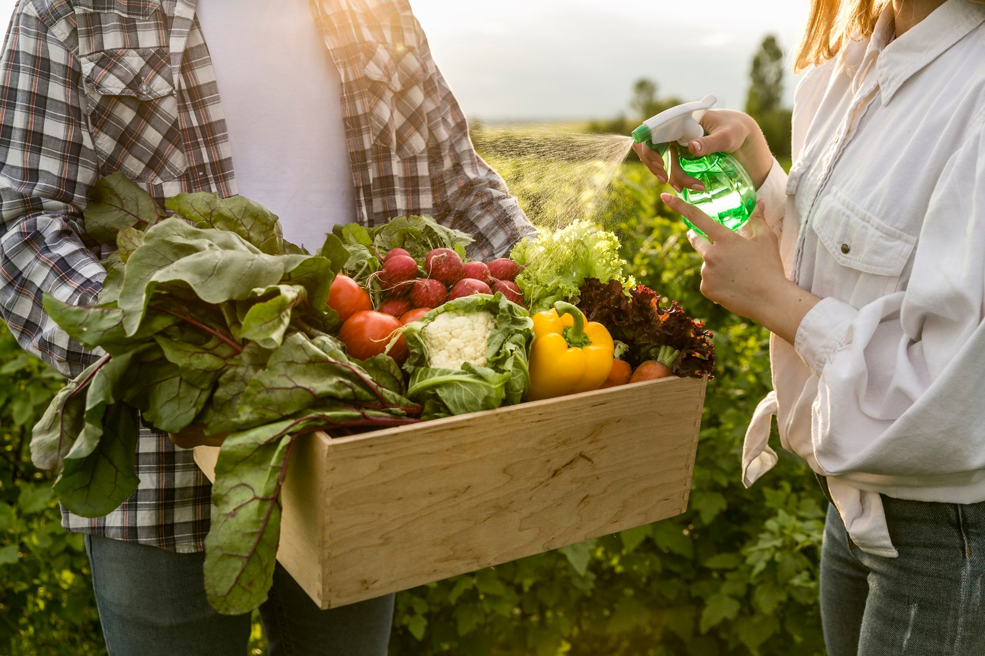 alimentation responsable