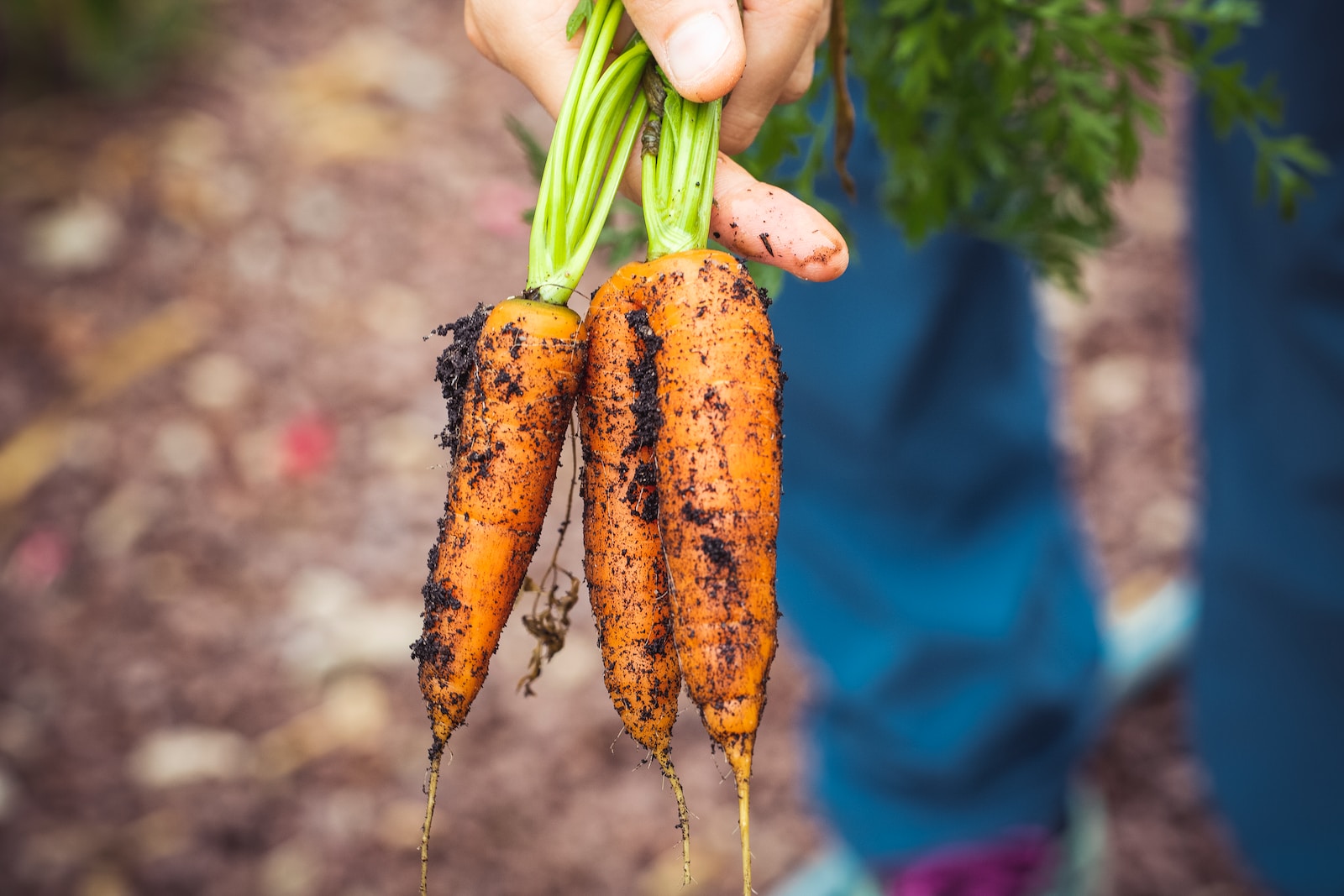 agriculture responsable