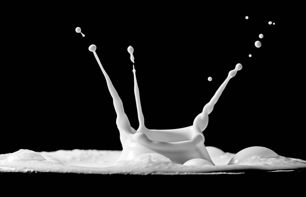 Pourquoi le lait breton est-il si savoureux ?